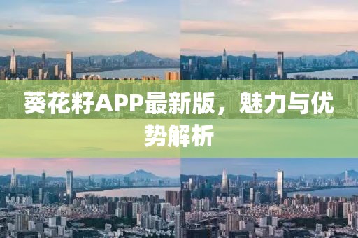 葵花籽APP最新版，魅力与优势解析