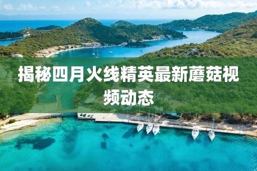 揭秘四月火线精英最新蘑菇视频动态
