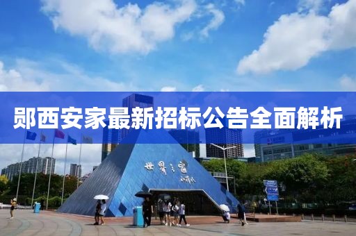 郧西安家最新招标公告全面解析