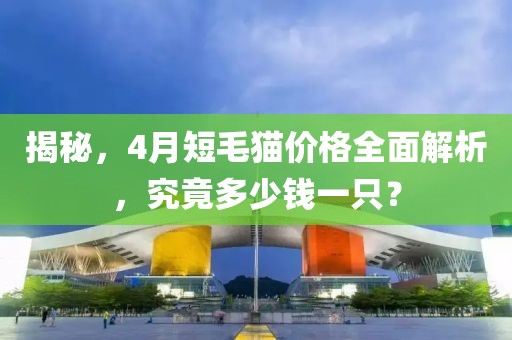 揭秘，4月短毛猫价格全面解析，究竟多少钱一只？