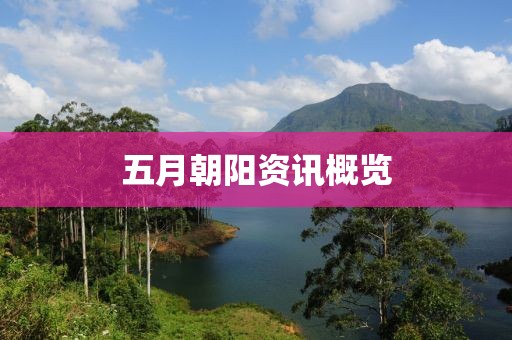 五月朝阳资讯概览