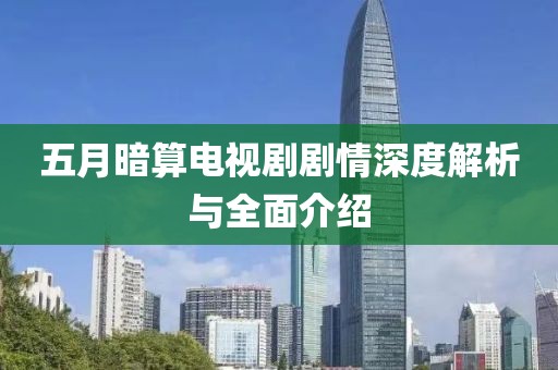 五月暗算电视剧剧情深度解析与全面介绍