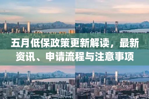 五月低保政策更新解读，最新资讯、申请流程与注意事项