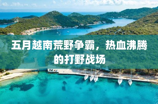 五月越南荒野争霸，热血沸腾的打野战场