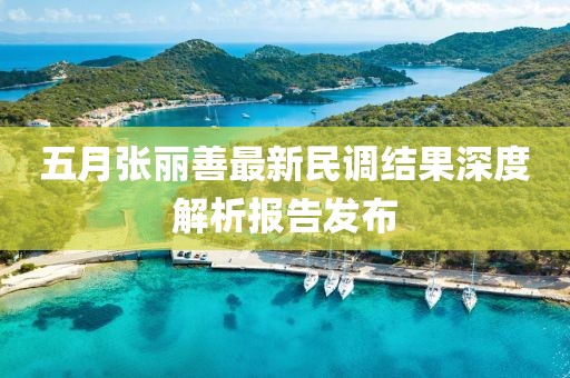 五月张丽善最新民调结果深度解析报告发布