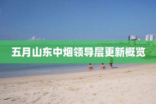 五月山东中烟领导层更新概览