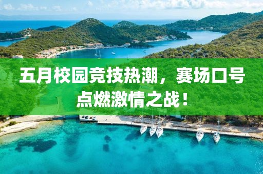 五月校园竞技热潮，赛场口号点燃激情之战！