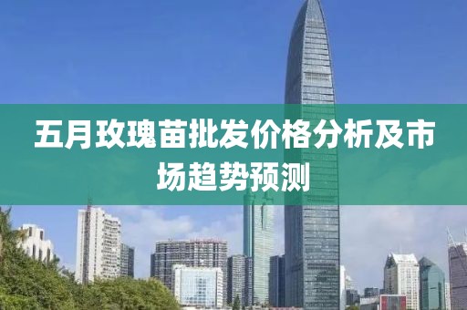 五月玫瑰苗批发价格分析及市场趋势预测