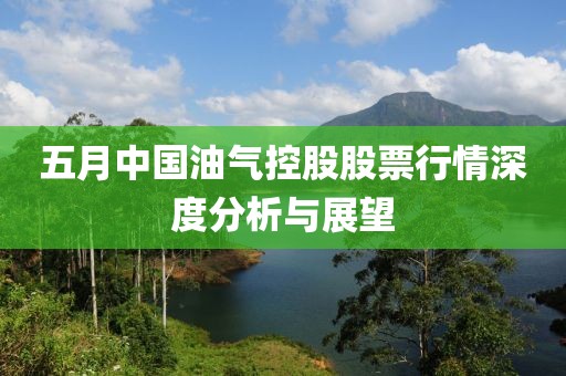 五月中国油气控股股票行情深度分析与展望
