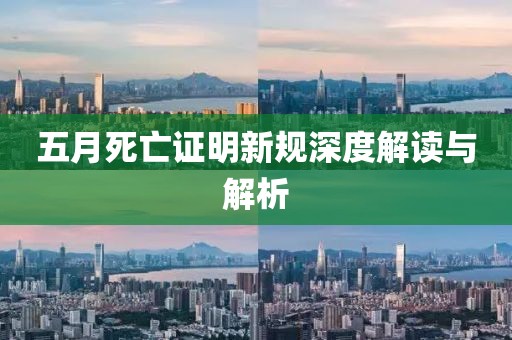 五月死亡证明新规深度解读与解析