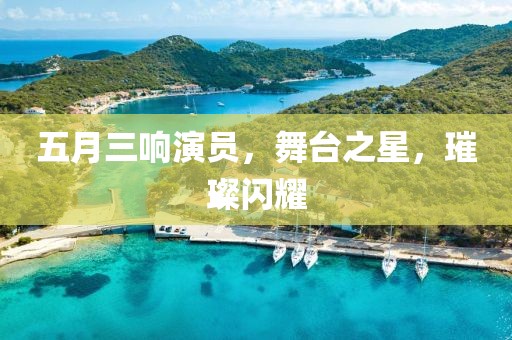 五月三响演员，舞台之星，璀璨闪耀