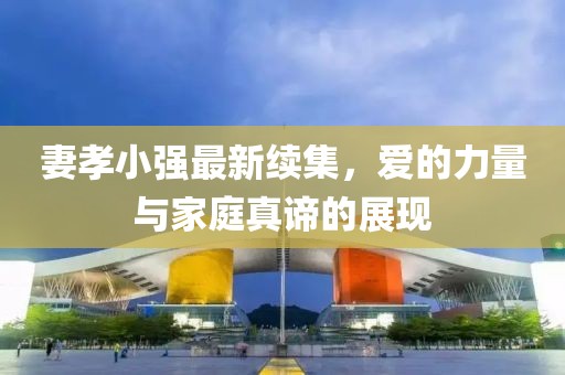 妻孝小强最新续集，爱的力量与家庭真谛的展现