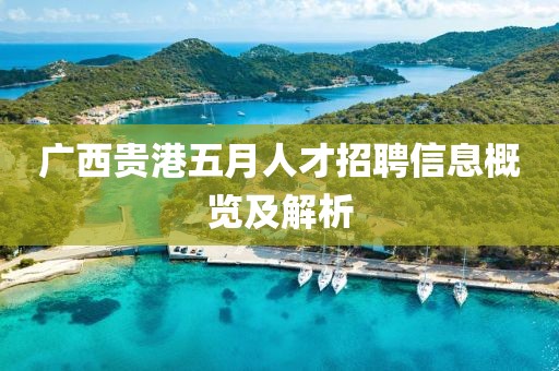 广西贵港五月人才招聘信息概览及解析