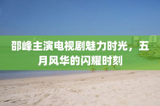 邵峰主演电视剧魅力时光，五月风华的闪耀时刻