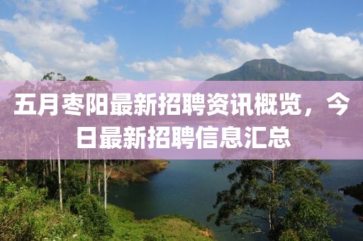 五月枣阳最新招聘资讯概览，今日最新招聘信息汇总