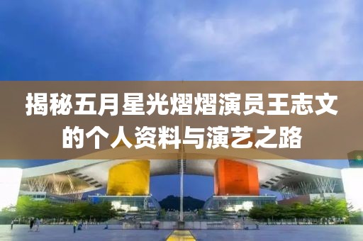 揭秘五月星光熠熠演员王志文的个人资料与演艺之路