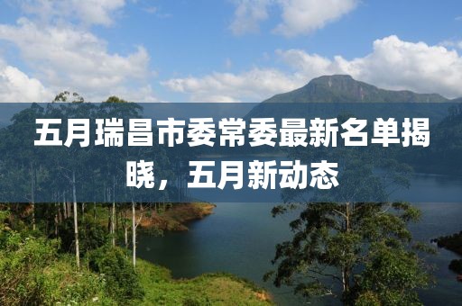 五月瑞昌市委常委最新名单揭晓，五月新动态