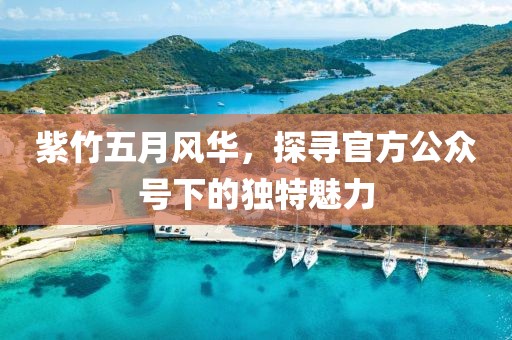 紫竹五月风华，探寻官方公众号下的独特魅力