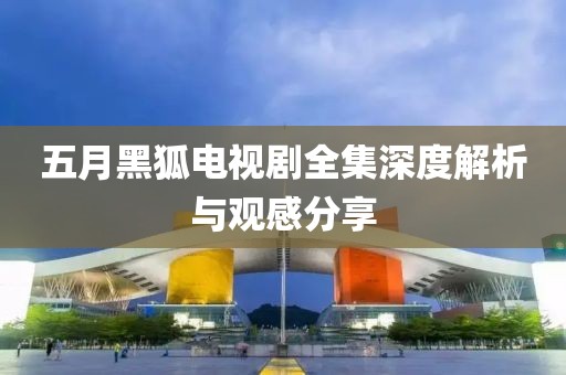 五月黑狐电视剧全集深度解析与观感分享