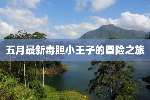 五月最新毒胆小王子的冒险之旅
