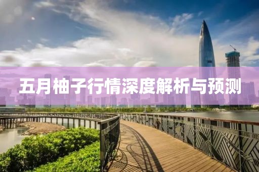 五月柚子行情深度解析与预测