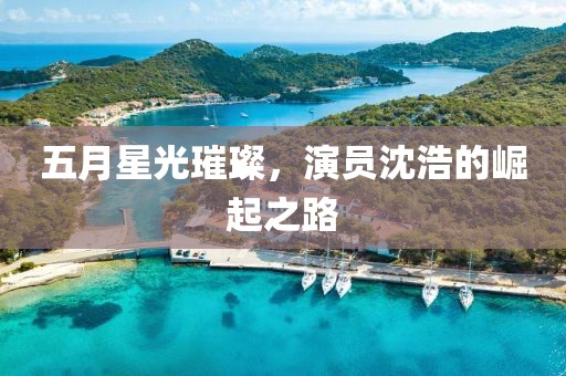 五月星光璀璨，演员沈浩的崛起之路
