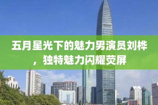 五月星光下的魅力男演员刘桦，独特魅力闪耀荧屏