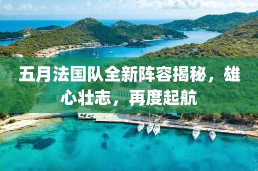 五月法国队全新阵容揭秘，雄心壮志，再度起航