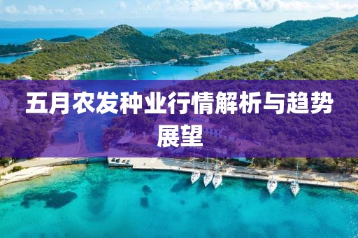 五月农发种业行情解析与趋势展望
