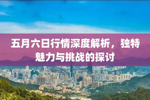 五月六日行情深度解析，独特魅力与挑战的探讨