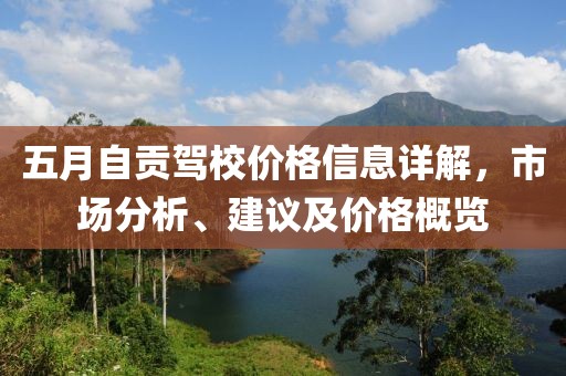 五月自贡驾校价格信息详解，市场分析、建议及价格概览