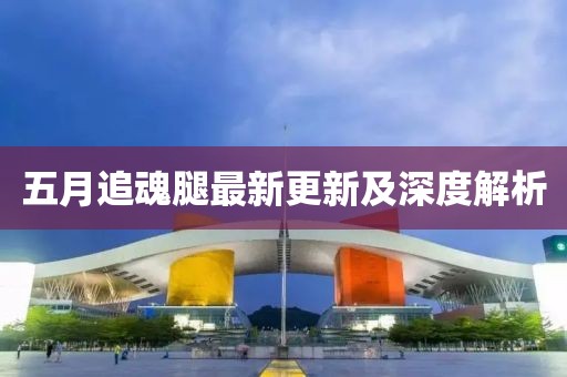 五月追魂腿最新更新及深度解析