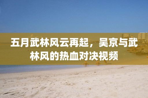 五月武林风云再起，吴京与武林风的热血对决视频
