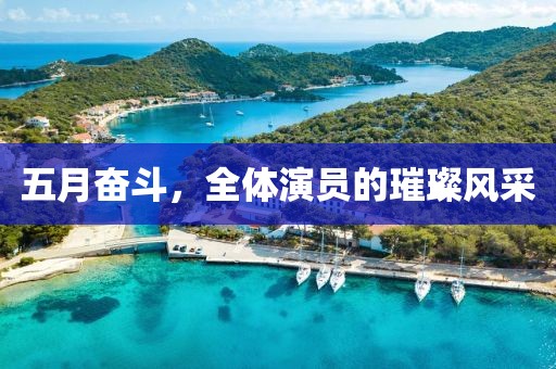 五月奋斗，全体演员的璀璨风采