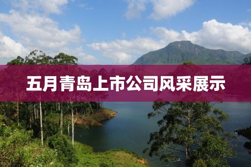 五月青岛上市公司风采展示
