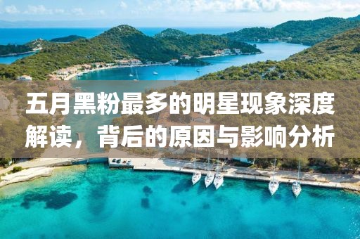 五月黑粉最多的明星现象深度解读，背后的原因与影响分析