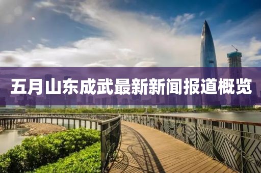 五月山东成武最新新闻报道概览