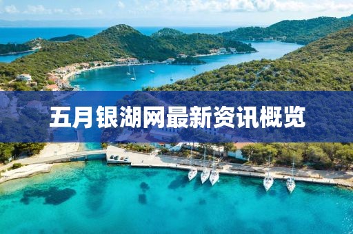 五月银湖网最新资讯概览