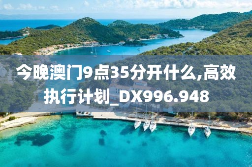 今晚澳门9点35分开什么,高效执行计划_DX996.948