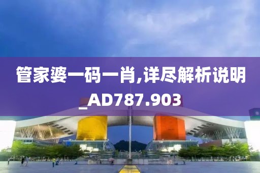 管家婆一码一肖,详尽解析说明_AD787.903