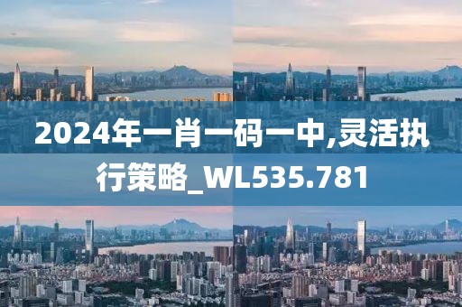 2024年一肖一码一中,灵活执行策略_WL535.781