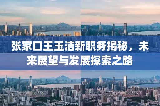 张家口王玉洁新职务揭秘，未来展望与发展探索之路