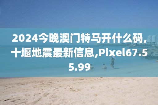 2024今晚澳门特马开什么码,十堰地震最新信息,Pixel67.55.99