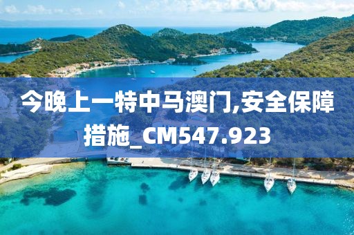 今晚上一特中马澳门,安全保障措施_CM547.923