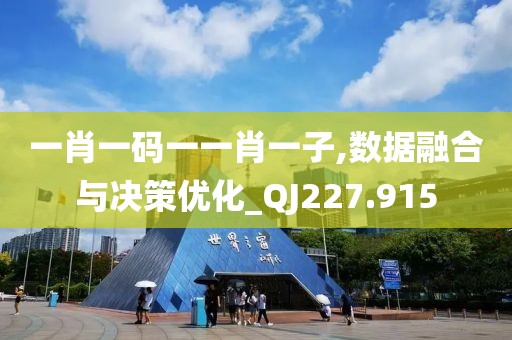 一肖一码一一肖一子,数据融合与决策优化_QJ227.915