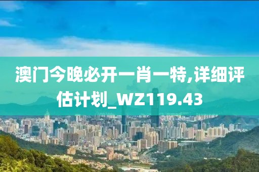 澳门今晚必开一肖一特,详细评估计划_WZ119.43