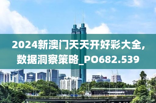 2024新澳门天天开好彩大全,数据洞察策略_PO682.539