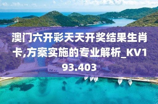 澳门六开彩天天开奖结果生肖卡,方案实施的专业解析_KV193.403
