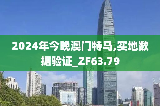2024年今晚澳门特马,实地数据验证_ZF63.79