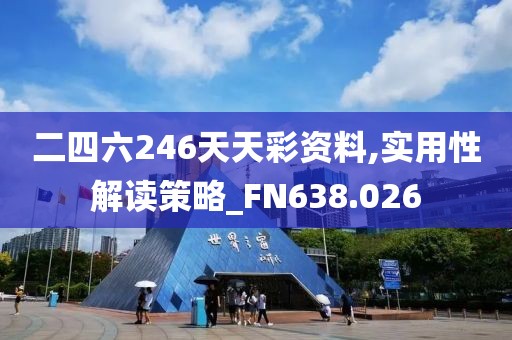 二四六246天天彩资料,实用性解读策略_FN638.026
